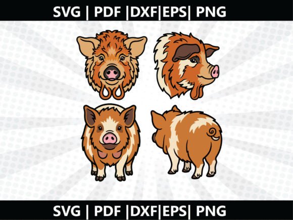 Kunekune Pig SVG Cut File for Creative Designers